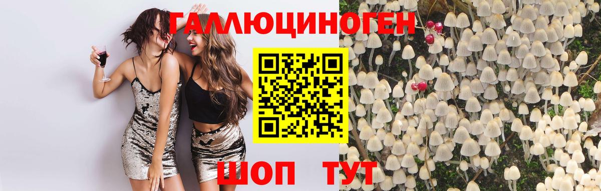 Темрюк  Галлюциногенные грибы Cubensis  Вход с VPN  Псилоцибиновые грибы Psilocybine cubensis 
